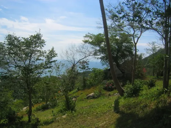 Land by the sea in Koh Tao Thailand plot within city limits 22400m²  Koh Tao