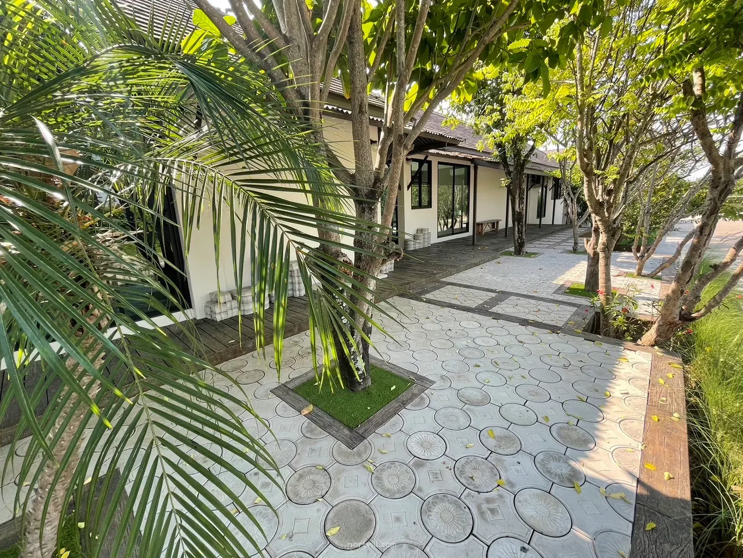 hotel {geo.city.in} Tailândia 2200m²  Downtown Chiang Mai - foto 12