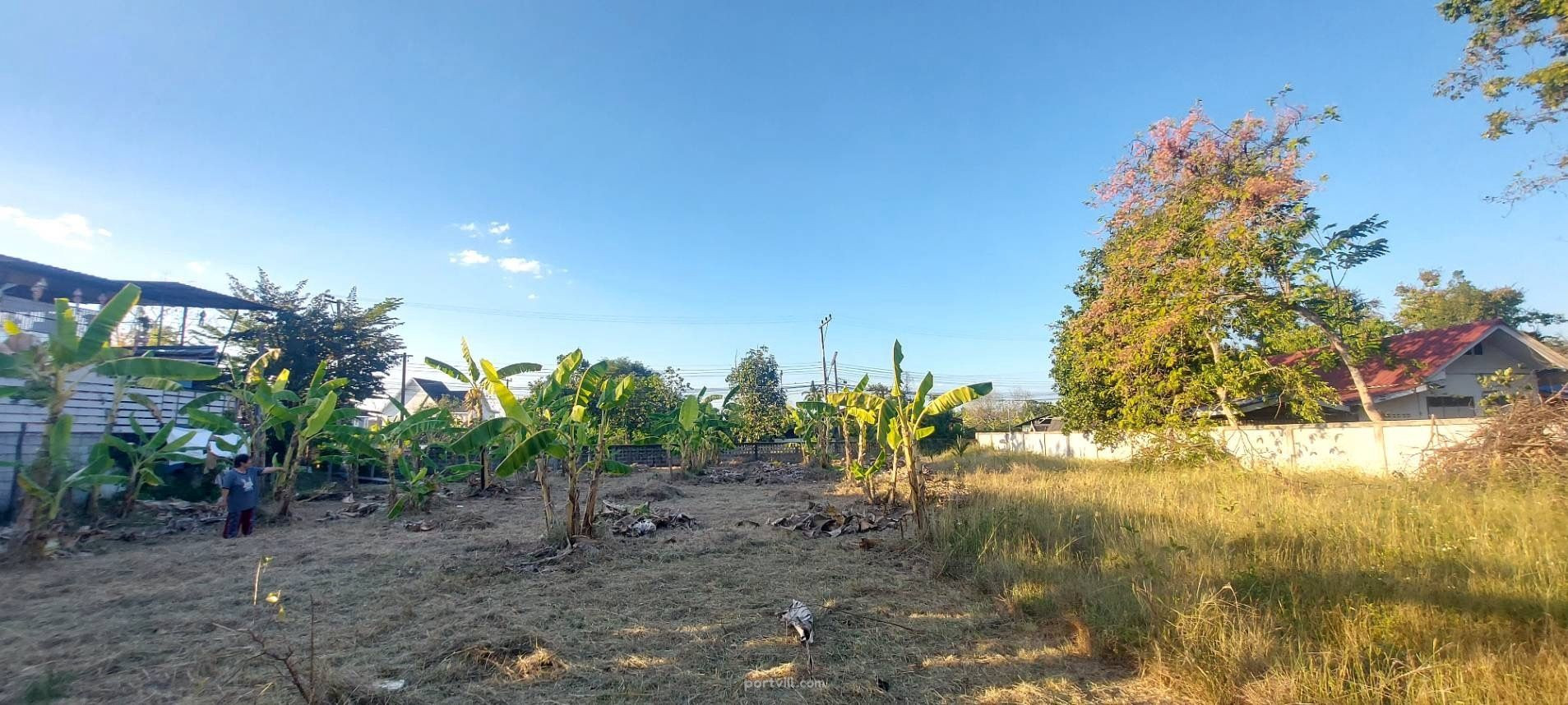 Grond te koop in Saraphi Thailand perceel binnen de stadsgrenzen 1512m² Saraphi - foto 1
