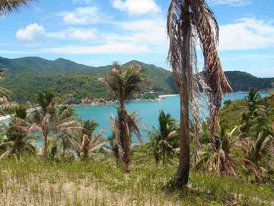 Land by the sea in Ko Phangan Thailand plot within city limits 8000m²  Ko Phangan
