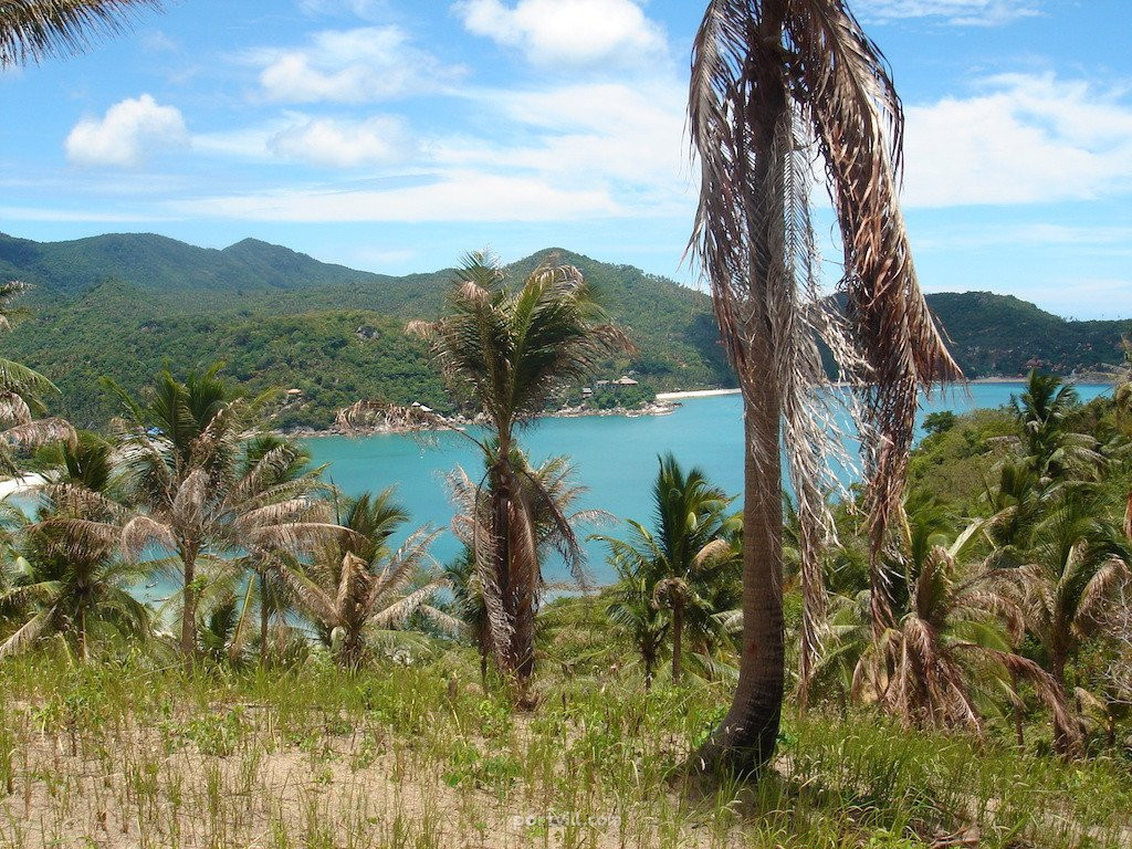 Land by the sea in Ko Phangan Thailand plot within city limits 8000m²  Ko Phangan - photo 2