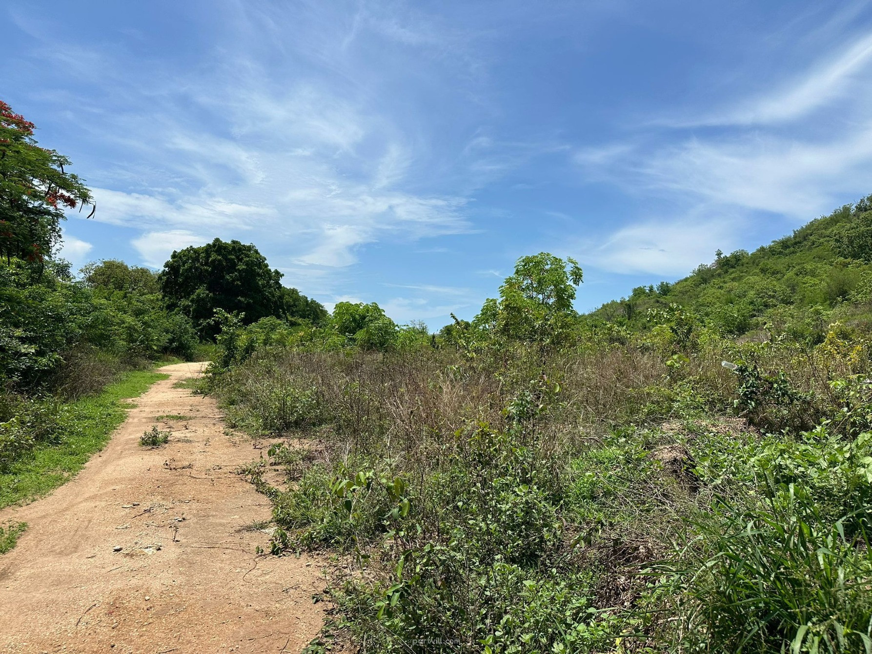 बिक्री के लिए जमीन हुआ हिन में (Hua Hin) थाईलैंड प्लॉट शहर की सीमा के भीतर 16000m² हुआ हिन (Hua Hin) - फ़ोटो 4