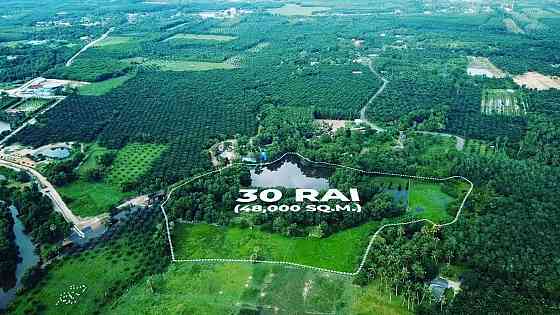 Land in Ko Phangan Thailand plot within city limits 48000m²  Ko Phangan