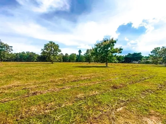 Terreno {geo.city.in} Tailândia lote dentro dos limites da cidade 31888m²  Downtown Chiang Mai