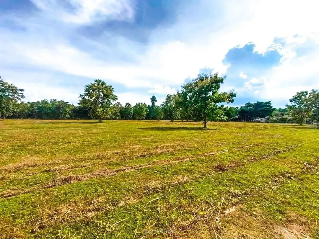 Land in Downtown Chiang Mai Thailand plot within city limits 31888m²  Downtown Chiang Mai - photo 6