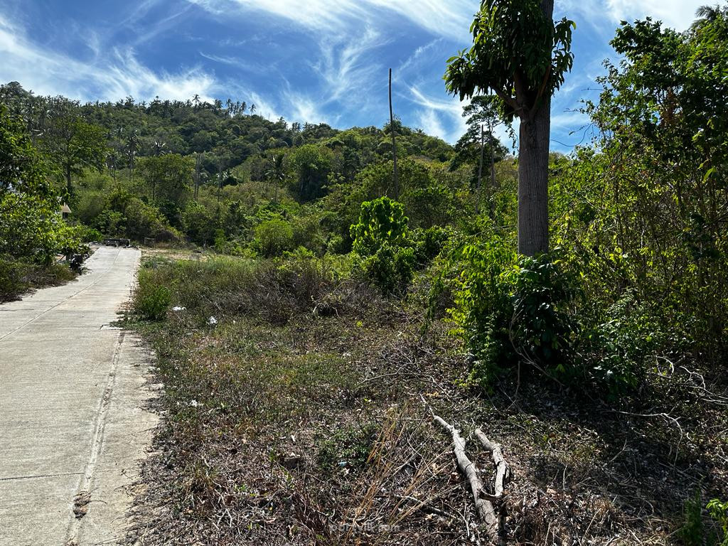 Land by the sea in Ko Samui Thailand plot within city limits 800m²  Ko Samui - photo 2