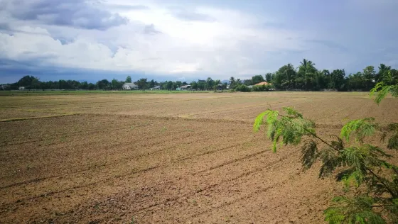 Teren de vânzare în San Kamphaeng Thailanda parcelă în limitele orașului 32776m² San Kamphaeng