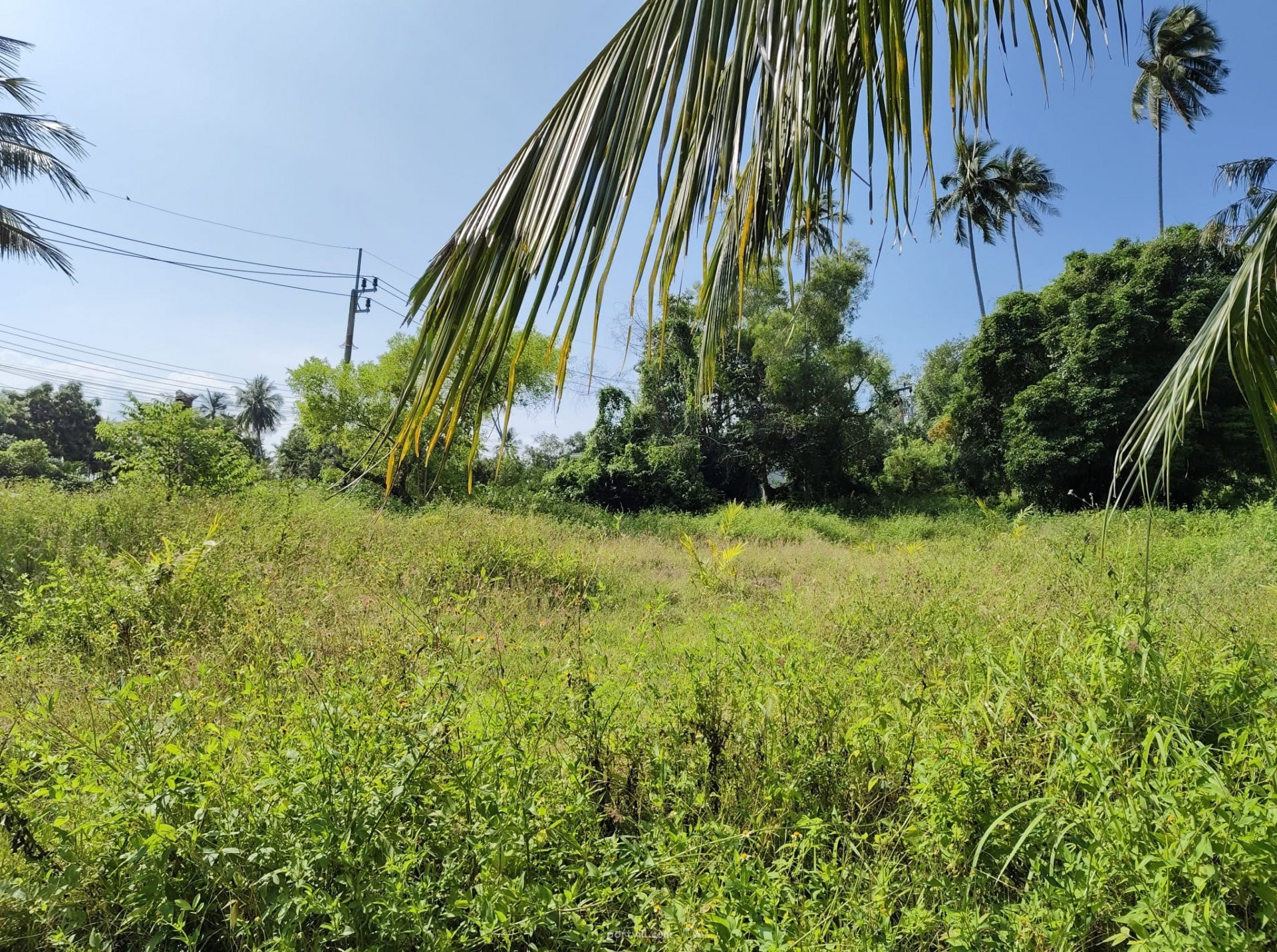 Land by the sea in Ko Samui Thailand plot within city limits 6500m²  Ko Samui - photo 2