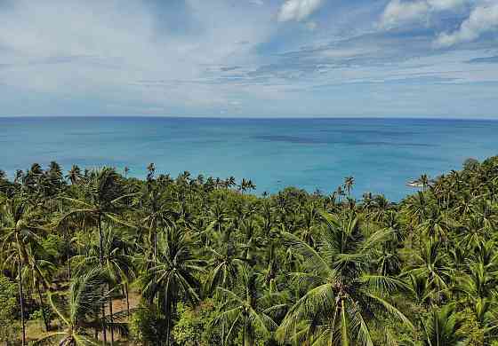 Land by the sea in Ko Phangan Thailand plot within city limits 8000m²  Ko Phangan