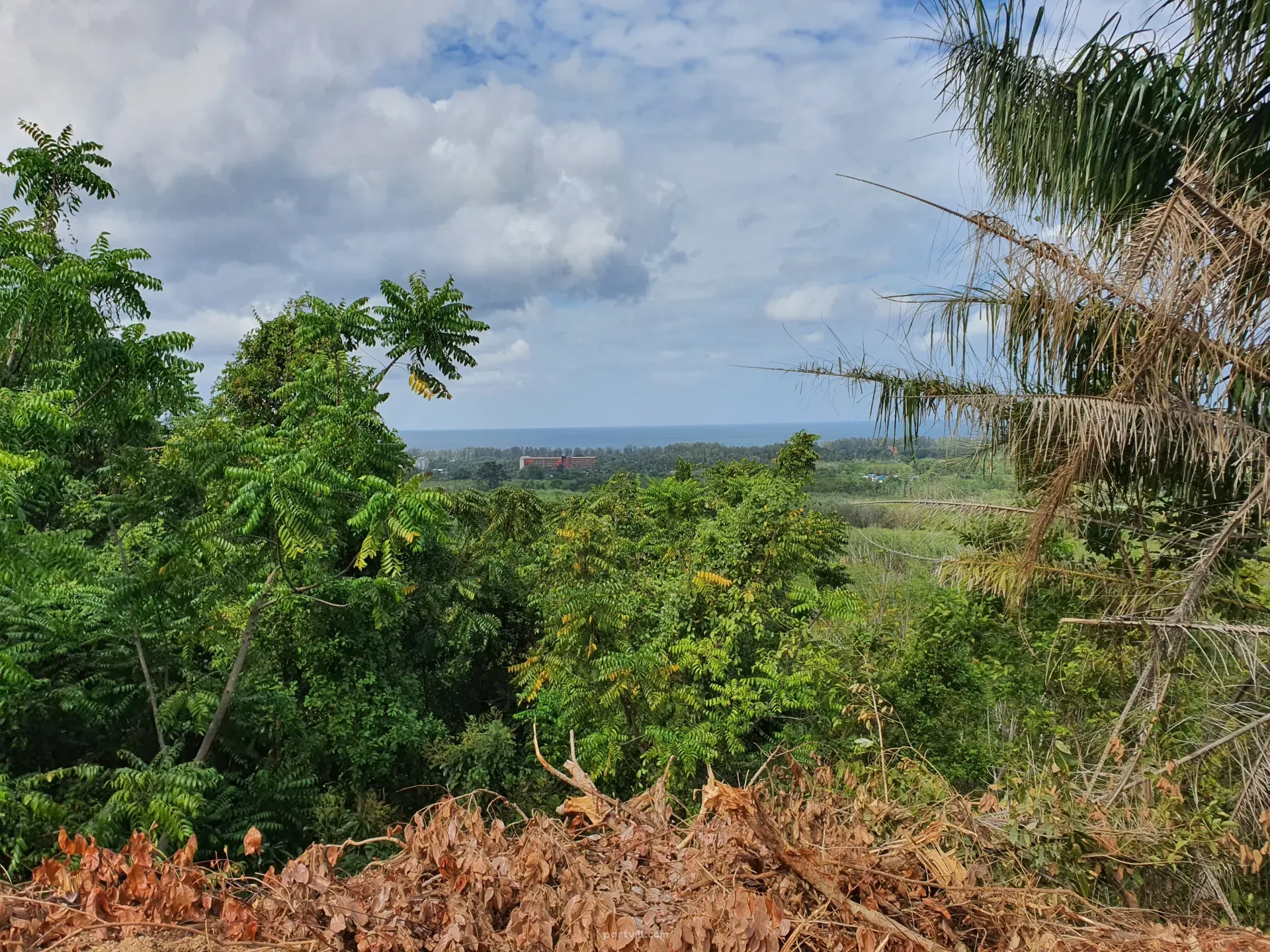 زمین در کنار دریا در مای خائو (Mai Khao) تایلند قطعه در تفریحگاه 8000م²  مای خائو (Mai Khao) - عکس 7