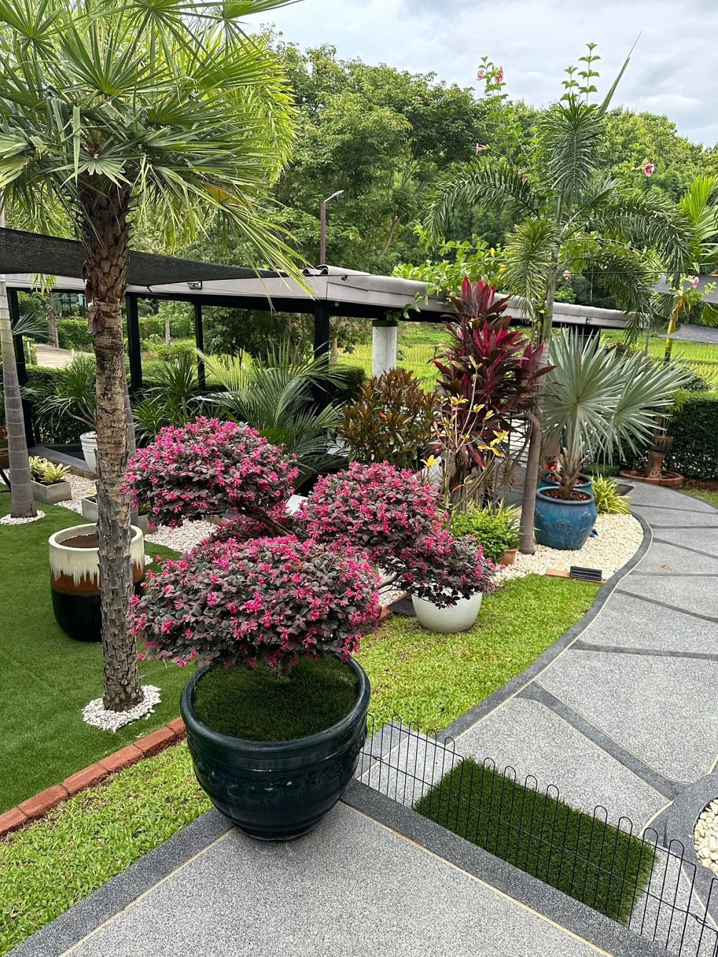 Nhà bán ở Mae Rim Thái Lan diện tích 150m² 1 tầng Mae Rim - ảnh 18